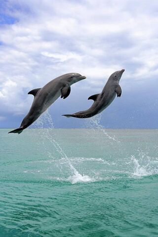 Dancing with the Waves:..
