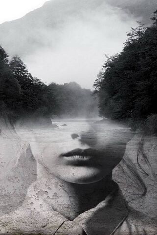 Whispers of Nature 🌫️🌲