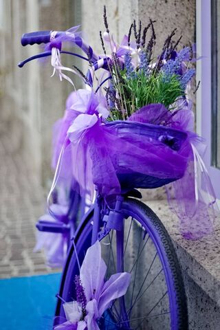 Blooming Bicycle Bliss ..