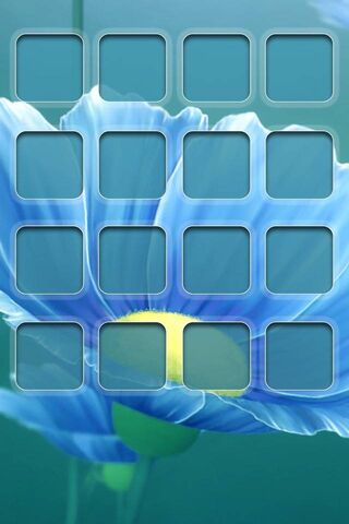 Serenity in Blue: A Floral Display