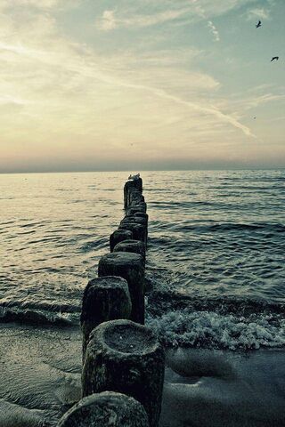 Tranquil Shores at Dusk 🌅