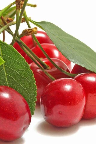 さくらんぼ壁紙 Phonekyから携帯端末にダウンロード