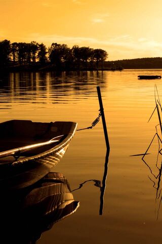 Golden Reflections: A Serene Sunset