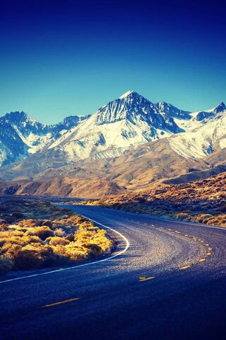 Winding Through Nature's Majesty 🌄