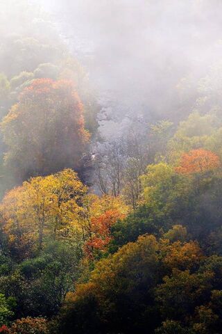 Mystical Autumn in Unseen Lithuania 🍂✨