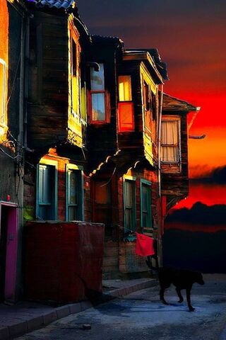 Twilight Whispers: A Colorful Evening