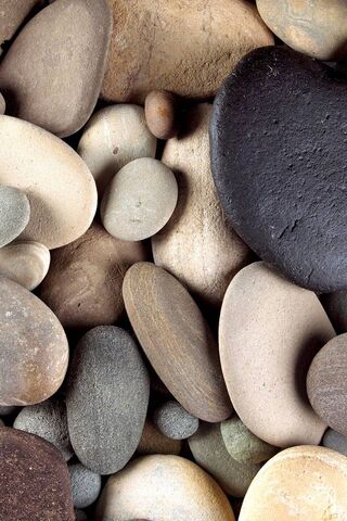 Nature's Mosaic: A Collection of Beach Stones 🌊🏖️
