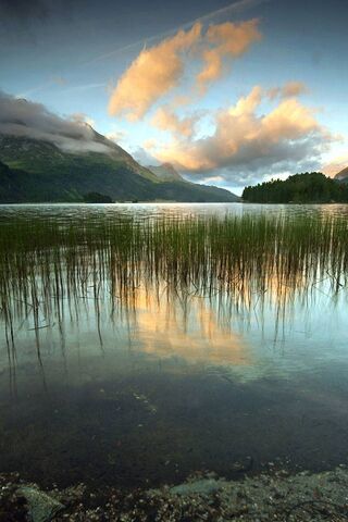 Serenity in the Fields of Reflection 🌅🌾