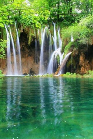 Nature's Serenity: The ..
