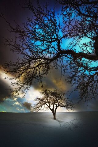 Enchanted Winter Serenity ❄️🌌