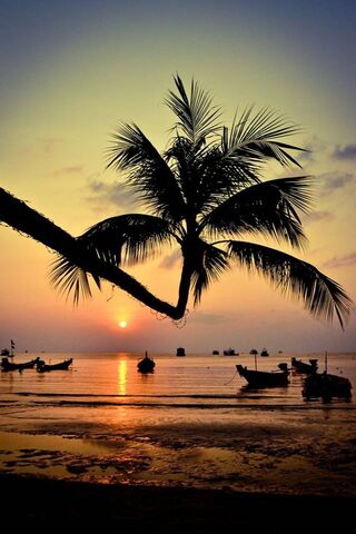 Tropical Serenity at Dusk 🌅🌴