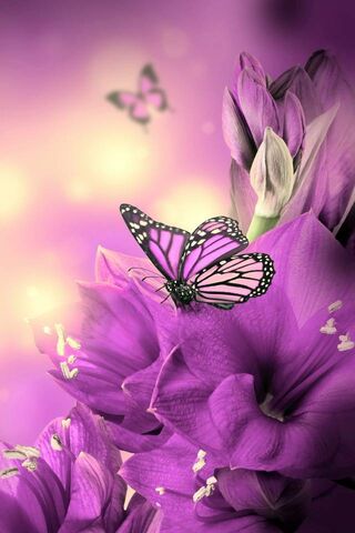 Whimsical Dance of Floral Butterflies 🌸🦋