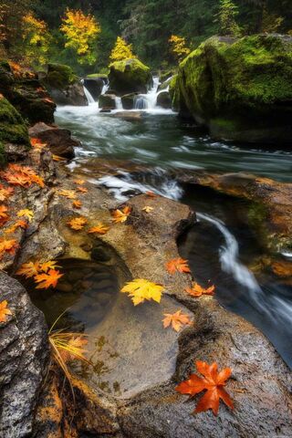 Autumn Serenity by the River 🍂💧