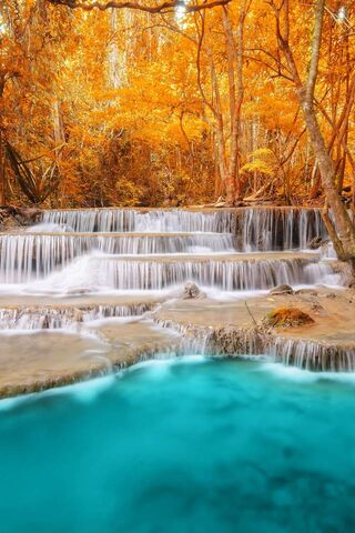 Autumn Serenity: The Enchanted Forest Waterfall 🍂💧
