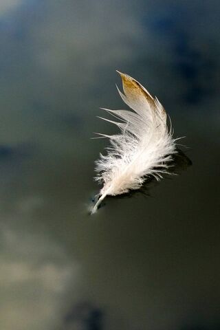 Lumia 930 Feather
