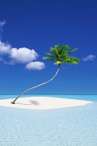 Serenity on a Private Island 🌴✨