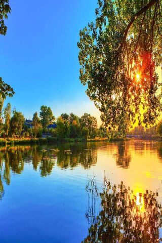 Golden Reflections: A Serene Sunset Over Water 🌅✨