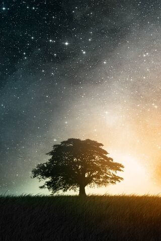 Whispers of the Cosmic ..