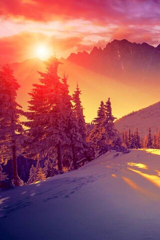 Hd Sunset Winter