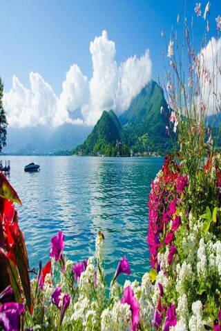 Serenity at Lake View 🌊🌸