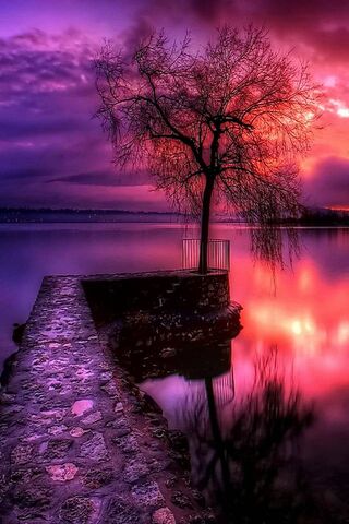 Twilight Reflections 🌅✨