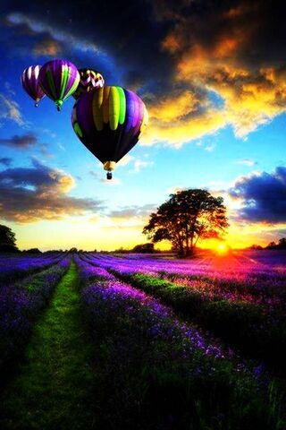 Soaring Dreams: The Parachute Balloon Adventure 🎈🌅