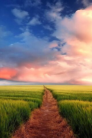 Journey into the Unknown 🌾✨