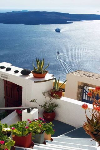 Serenity by the Sea: A Glimpse of Paraadise
