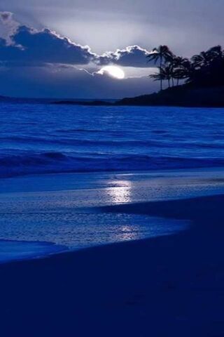 Moonlit Serenity: A Coa..