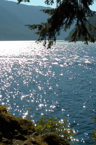 Sparkling Waters of Forks 🌊✨