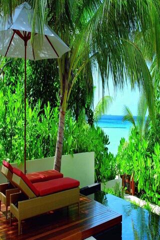 Tropical Bliss at Summer Resort 🌴☀️