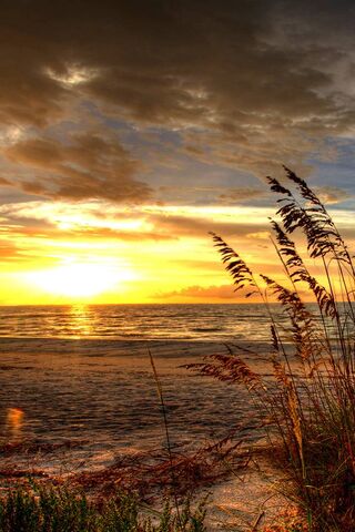 Golden Horizons: A Tran..