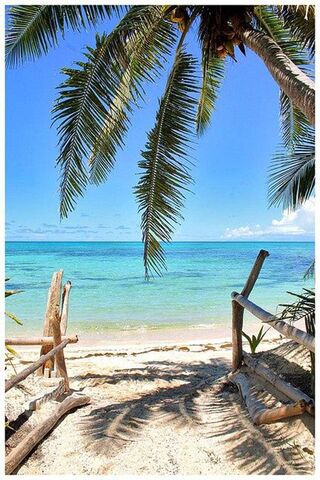 Paradise Awaits: A Trop..