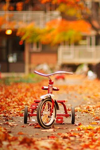 Autumn Adventures on Three Wheels 🍂🚲