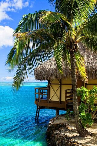 Paradise Found: A Tropical Escape 🌴🌊