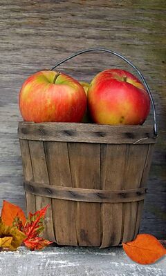 Autumn Apples Wallpaper - Download To Your Mobile From Phoneky