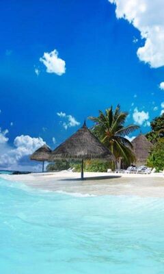 Paradise Wallpaper - Download to your mobile from PHONEKY