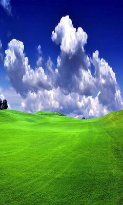 Grassy Plain Wallpaper - Download to your mobile from PHONEKY