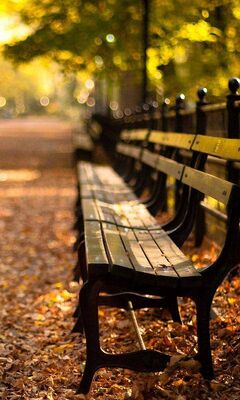 Bench Wallpaper - Download to your mobile from PHONEKY