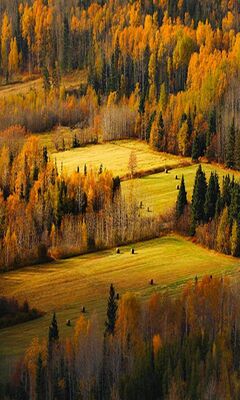 Birdview Wallpaper - Download to your mobile from PHONEKY