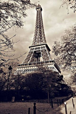 Timeless Elegance: The Eiffel Tower in Sepia