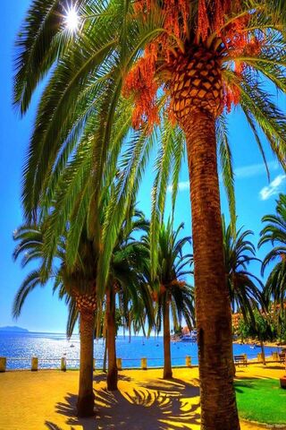 Tropical Bliss at Summe..