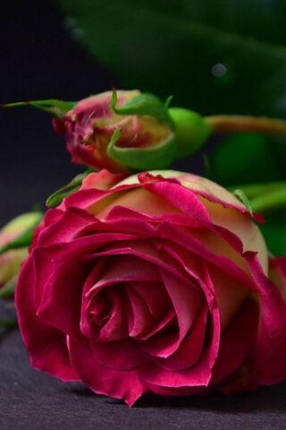 Whispers of Romance: Th..