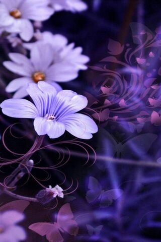 Whispers of a Floral Dr..