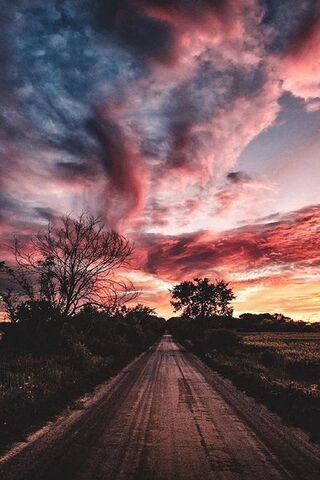 Estrada: Journey Through the Twilight