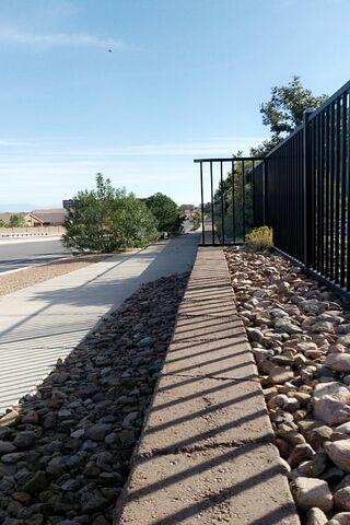 Beyond the Fence: A Glimpse of Freedom