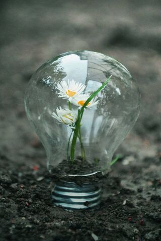 Illuminating Hope 🌼💡