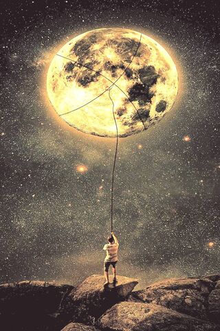 Reaching for the Moon: ..