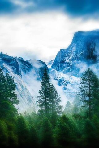 Whispers of a Frosty Dawn ❄️🌲