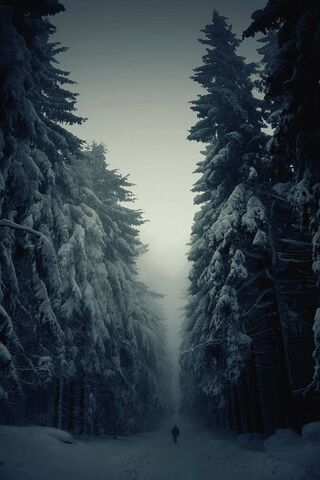 Whispers of Winter: A J..